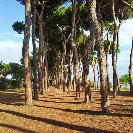 Дом отдыха Villino Del Parco Cerrano 200s *